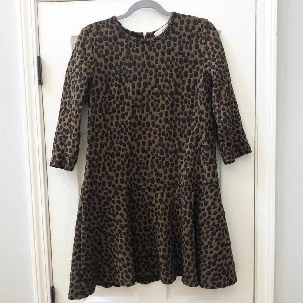 Loft Drop Waist Dress